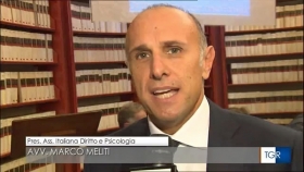 RAI Tg3 - Convegno Media e Minori - DPF avv. Meliti - Associazione Italiana 