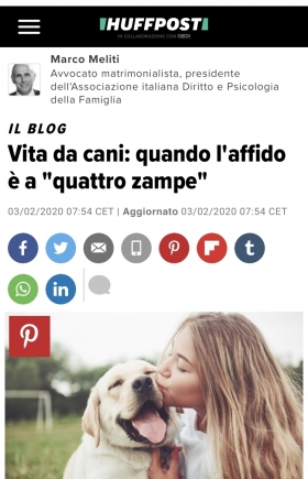 Huffingtonpost - Vita da cani: quando l'affido è a "quattro zampe" - Avv. Meliti - Associazione Italiana 