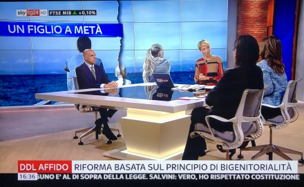 SKY Tg24 - DDL Pillon sulla "bigenitorialità perfetta" - Avv. Marco Meliti - Associazione Italiana 